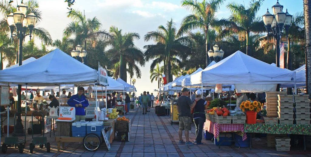 Shoppers browsing outdoor market stalls beneath palm trees